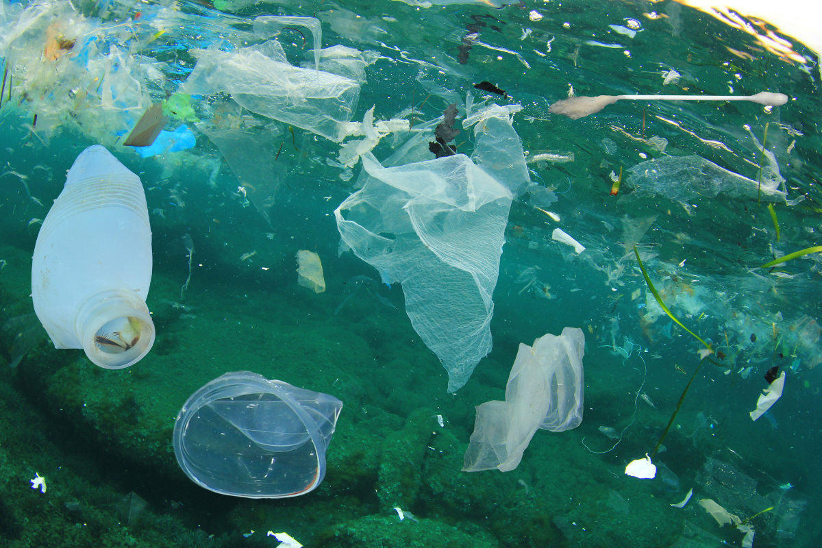ocean bottle