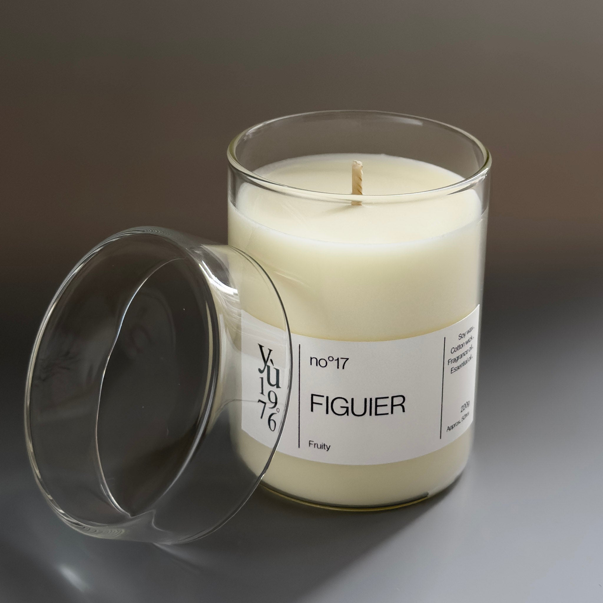 FIGUIER no°17