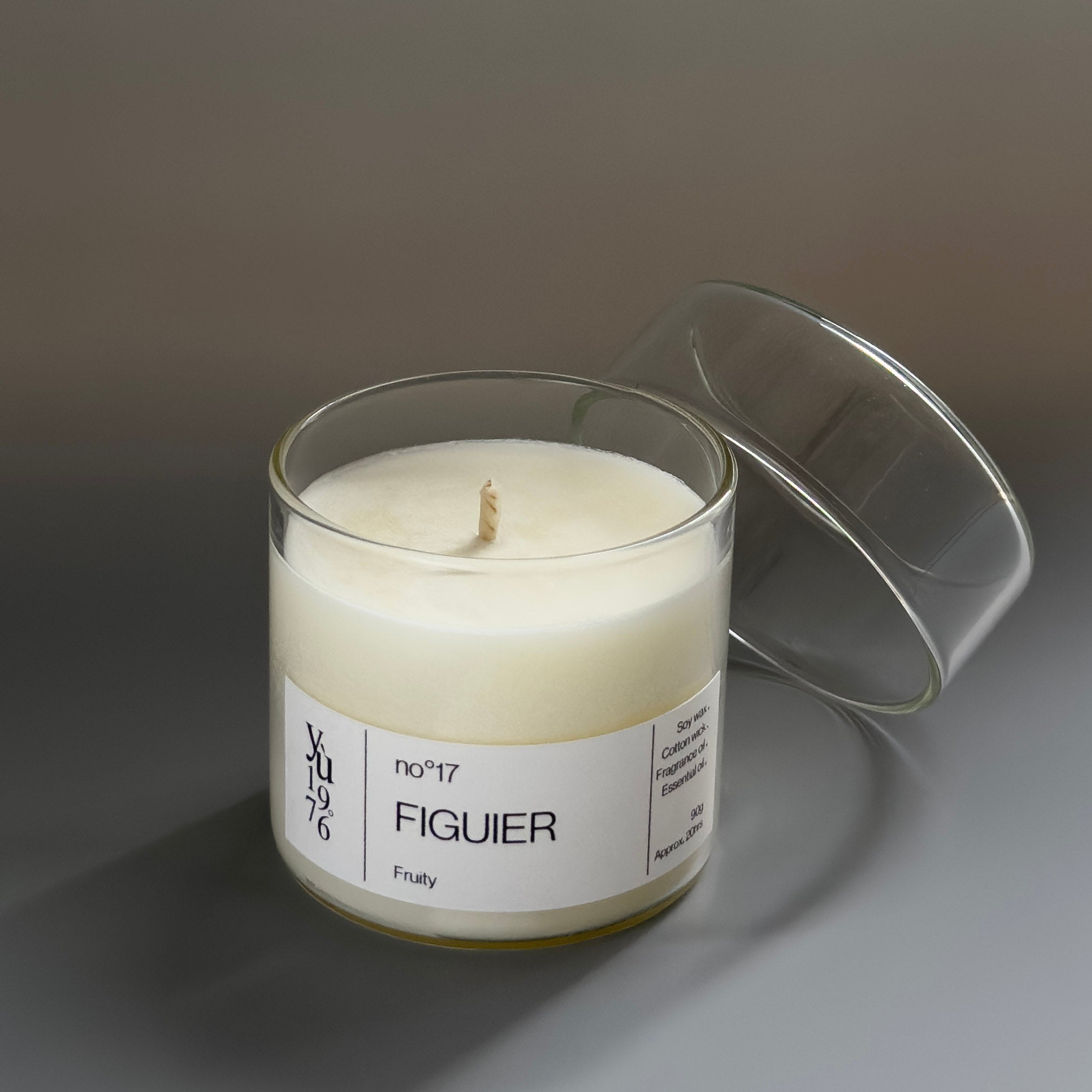 FIGUIER no°17
